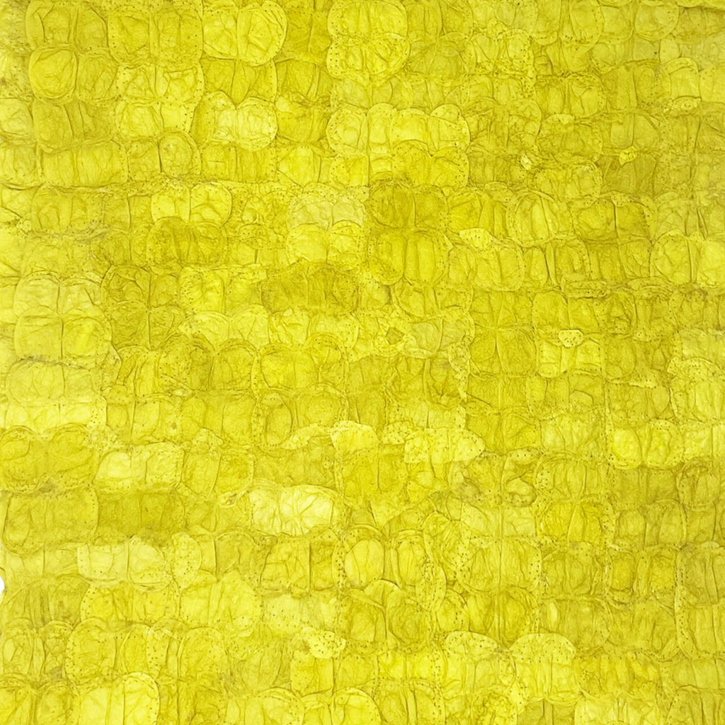 Handmade fair trade sustainably sourced ecofriendly Madagascar silk charger placemat, set of 2, table linens, chartreuse sunny yellow gold