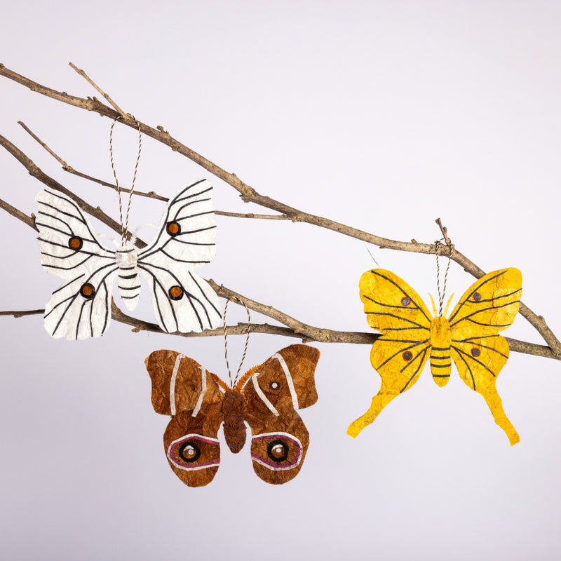 Madagascar Silk Moth Ornament - Yellow