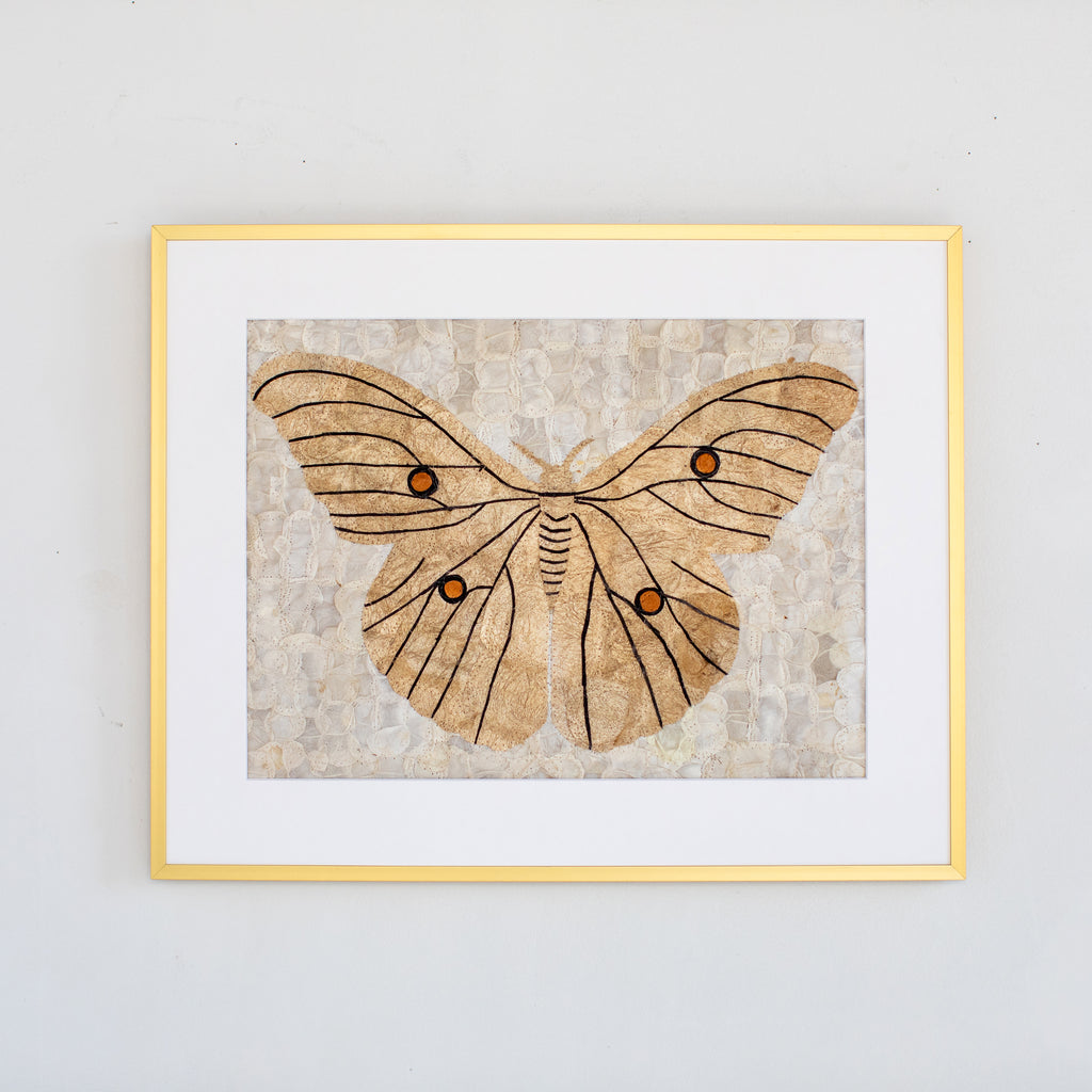 Wild Madagascar Silk Moth Rustic Wall Art Wall Decor for Nature Lover