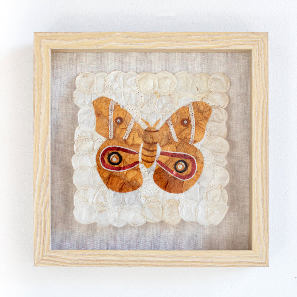 Handmade Fair Trade White and Brown Madagascar Silk Butterfly Wall Art Decor