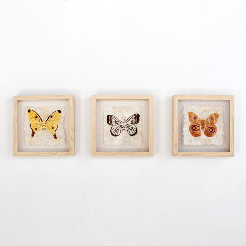 Fair Trade Handmade Ethically Sourced Madagascar Silk Moth Butterfly Set of Three Wall Art Wall Decor 