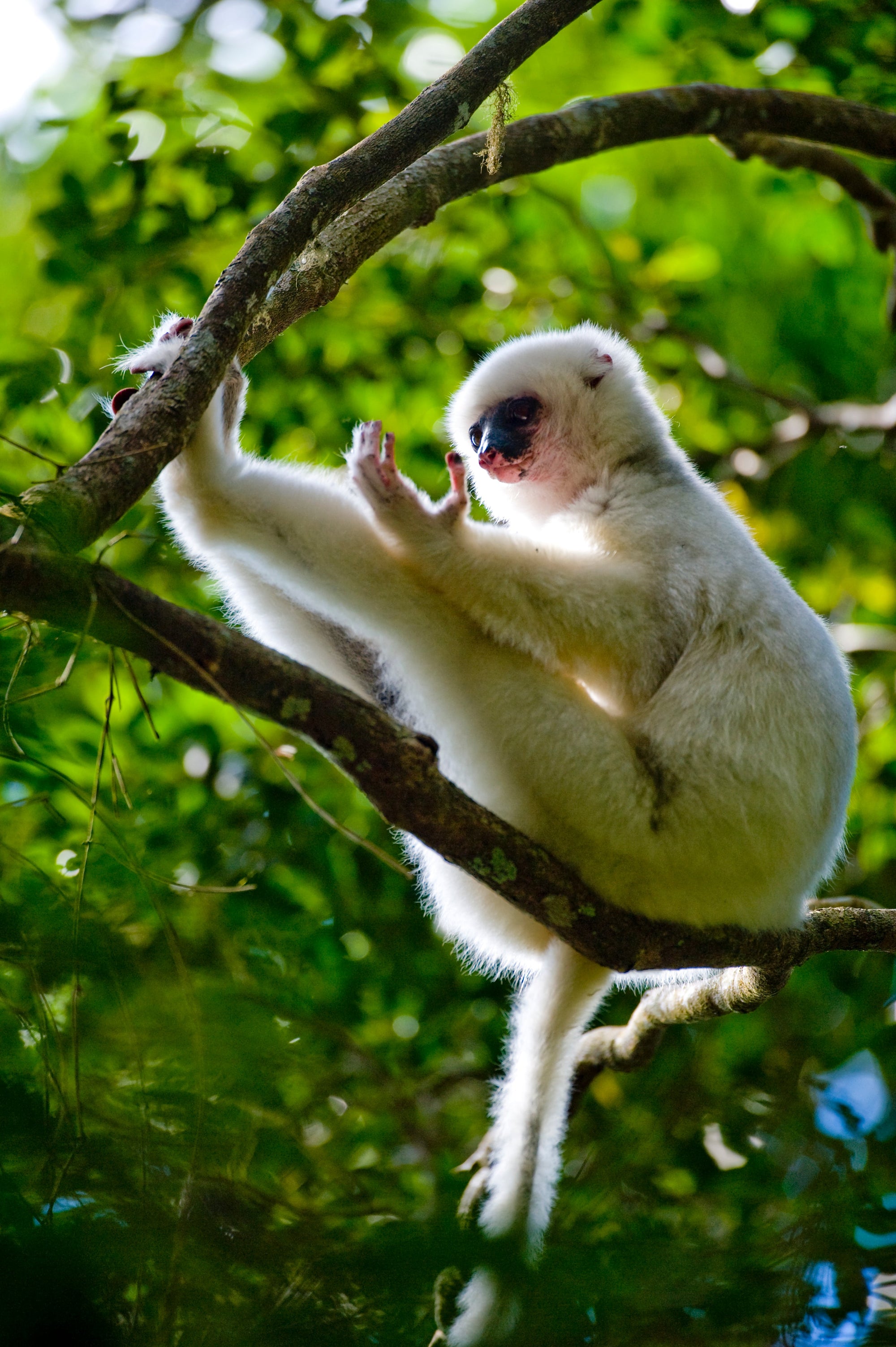 Ta'na'na Newsletter #9