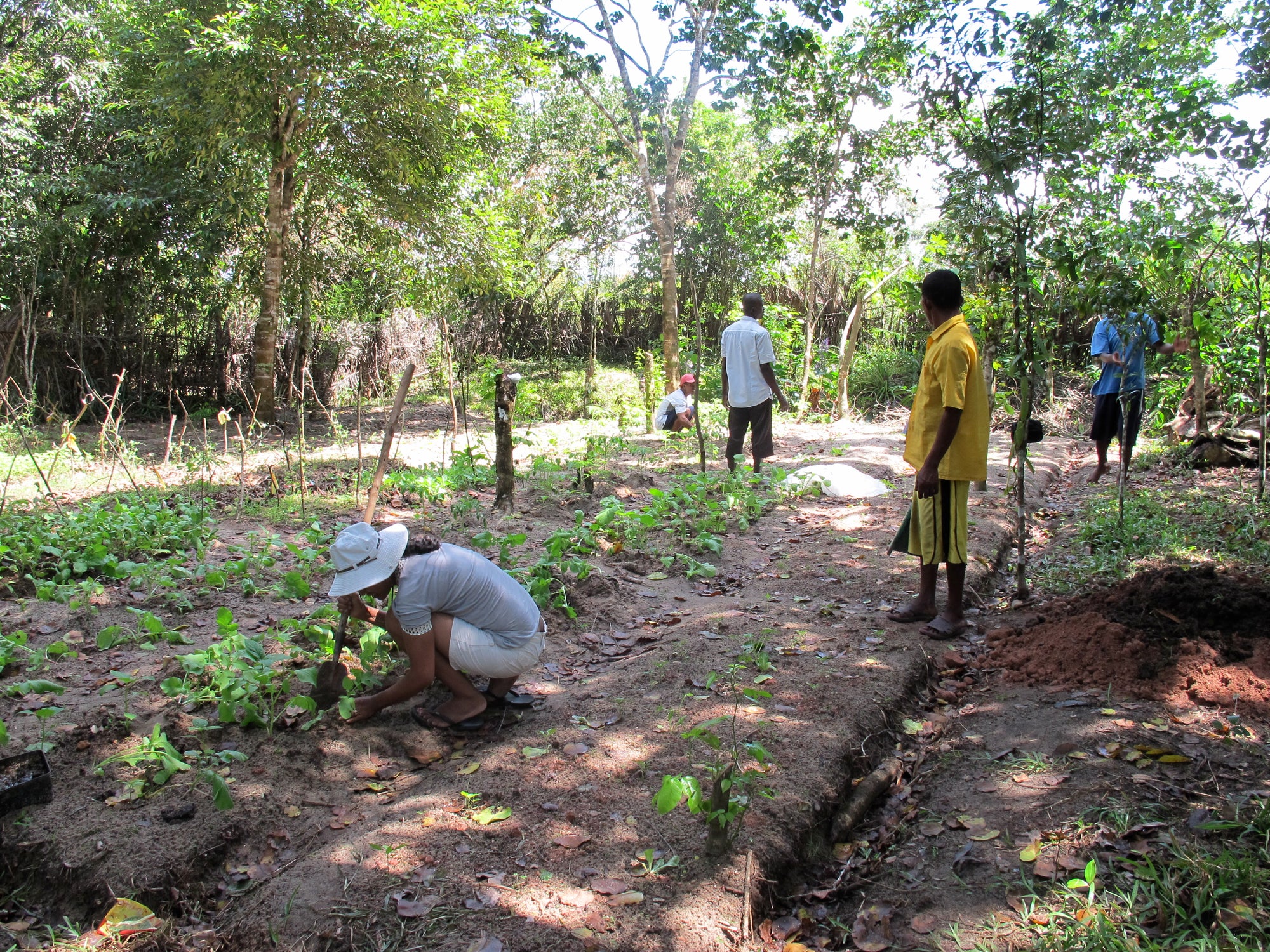 Ta'na'na Newsletter #21