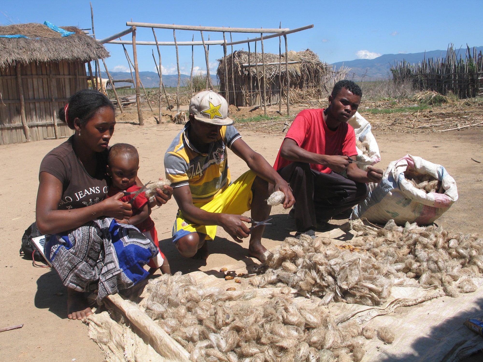 Ta'na'na Newsletter #7