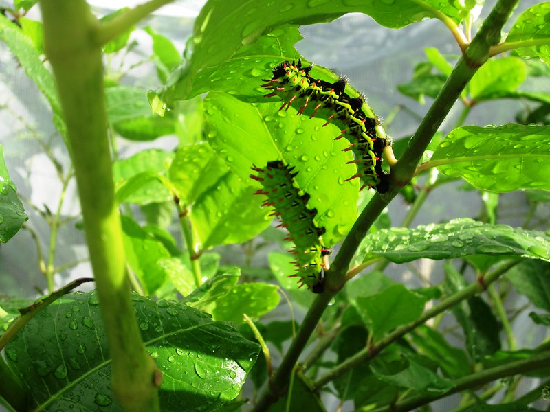 Ta'na'na Newsletter #3