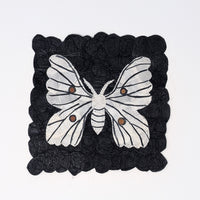 Ceranchia apollina moth on black background by Tanana Madagascar.