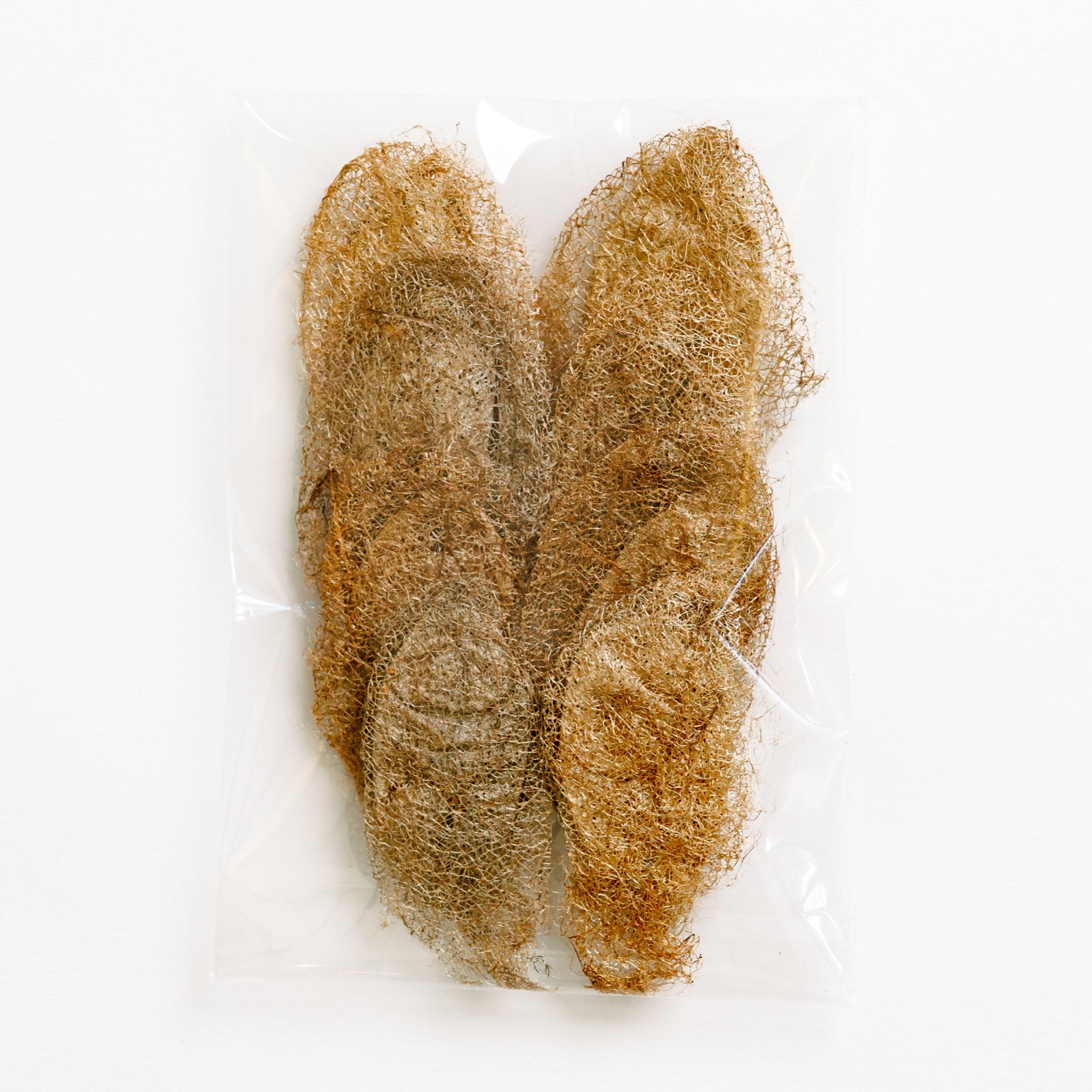 Wild Silk Cocoon Craft Set - Natural Ceranchia – tananasilk.com