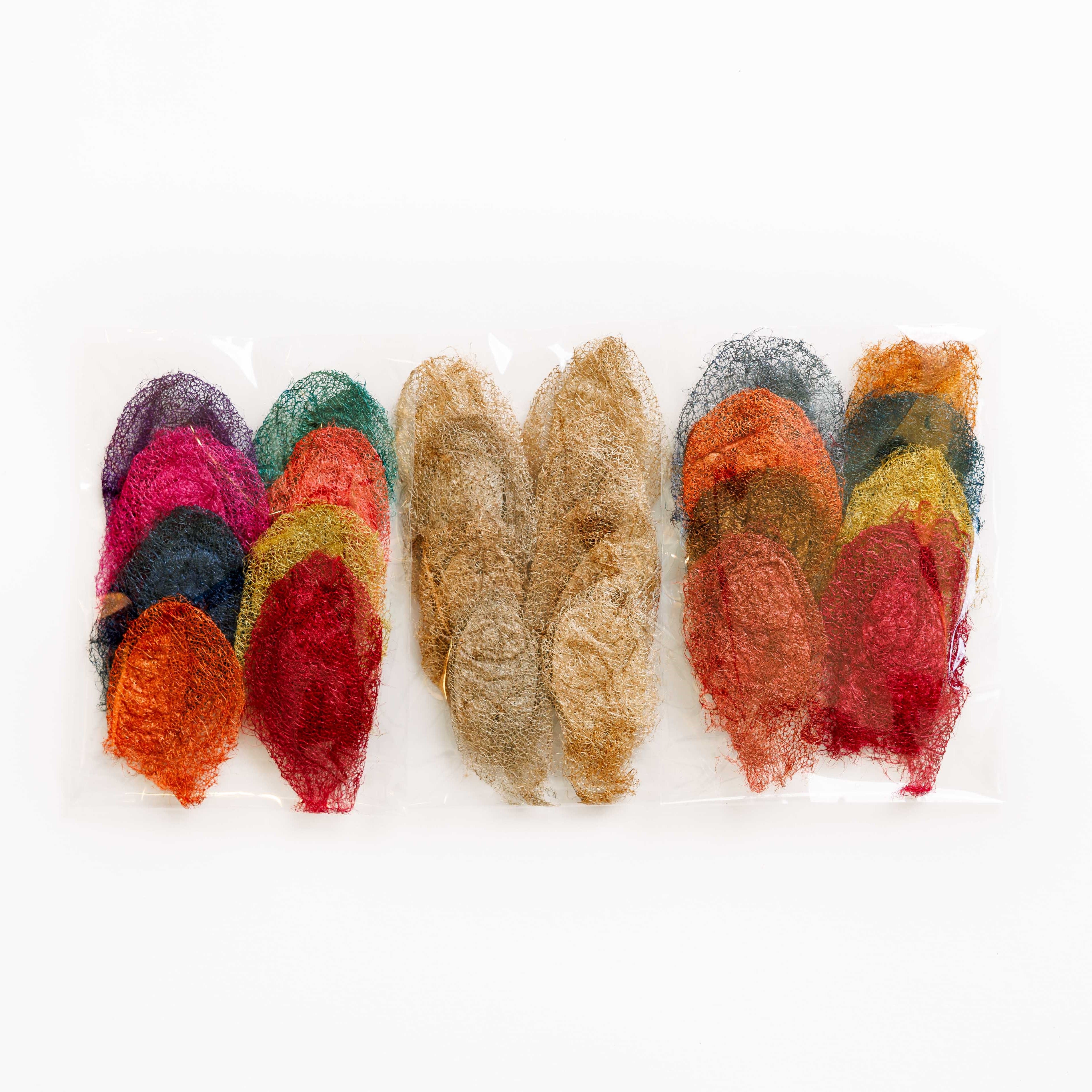 Wild Silk Cocoon Craft Set - Natural Ceranchia – tananasilk.com