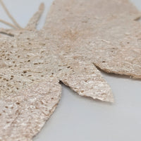 Madagascar Silk Moth Ornament - Argema