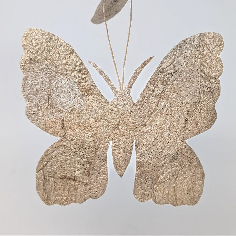 Undyed golden wild silk moth holiday ornament, handmade, fair trade, 6x5", ceranchia apollina