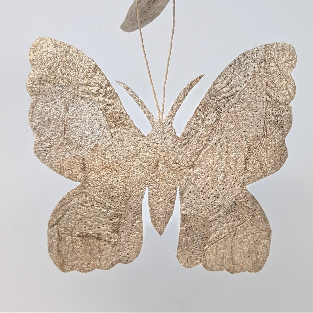 Undyed golden wild silk moth holiday ornament, handmade, fair trade, 6x5", ceranchia apollina