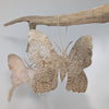 Madagascar Silk Moth Ornament - Ceranchia