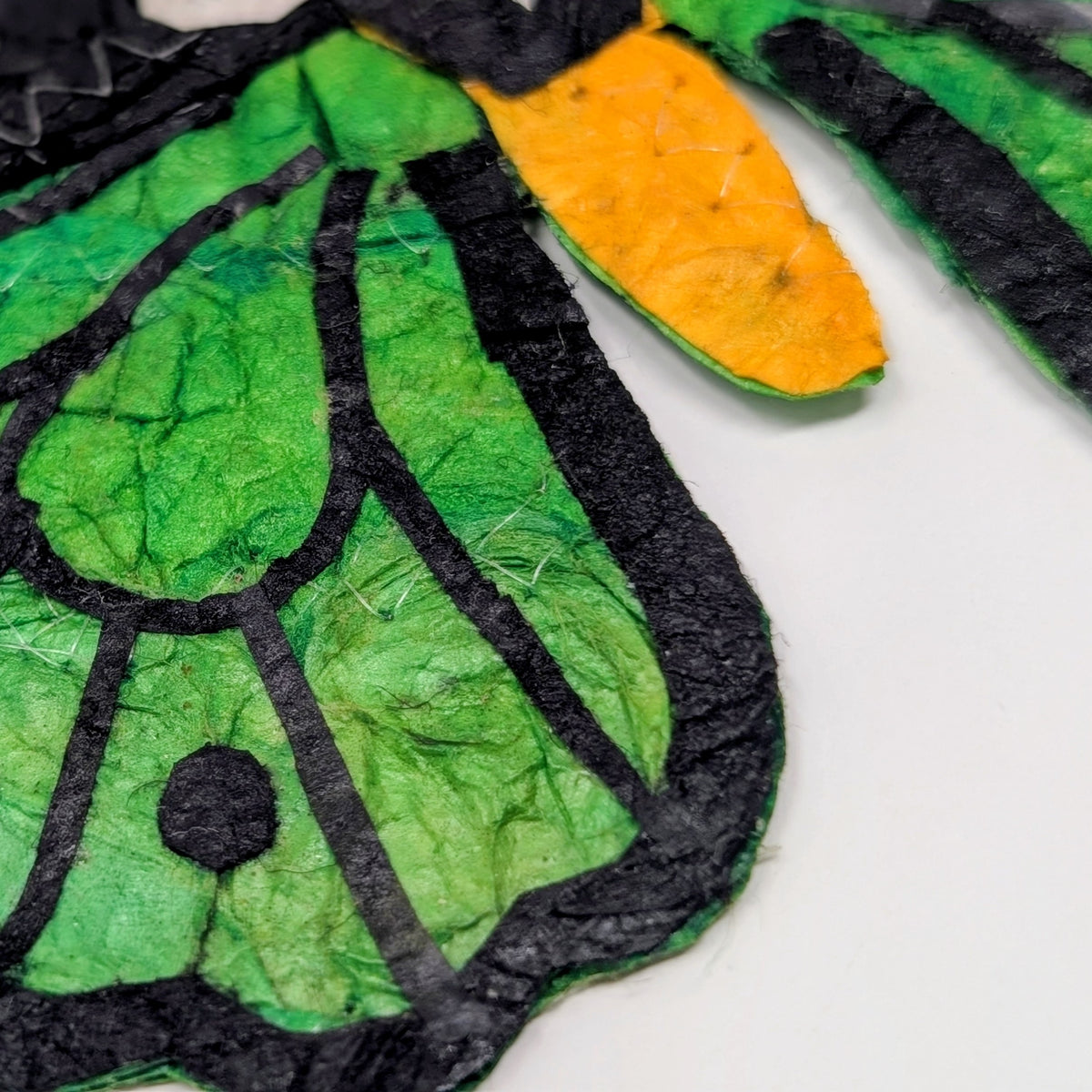 Madagascar Silk Moth Ornament - Green