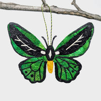 Madagascar Silk Moth Ornament - Green