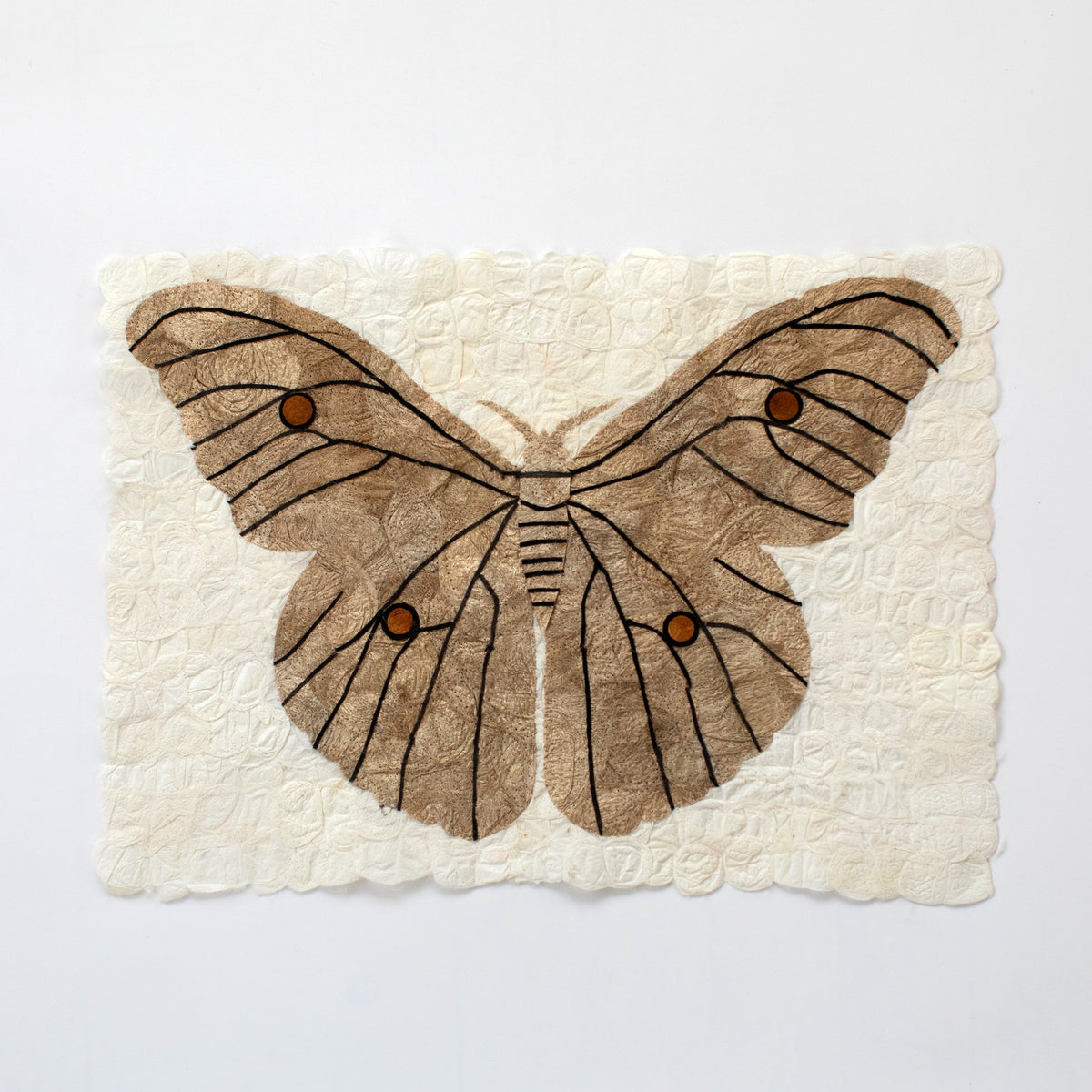 Wild Madagascar Silk Moth Rustic Wall Art Wall Decor for Nature Lover