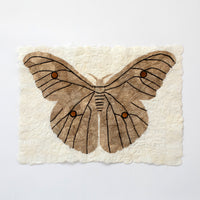 Wild Madagascar Silk Moth Rustic Wall Art Wall Decor for Nature Lover