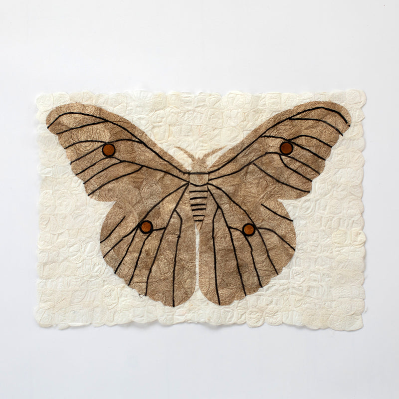 Wild Madagascar Silk Moth Rustic Wall Art Wall Decor for Nature Lover