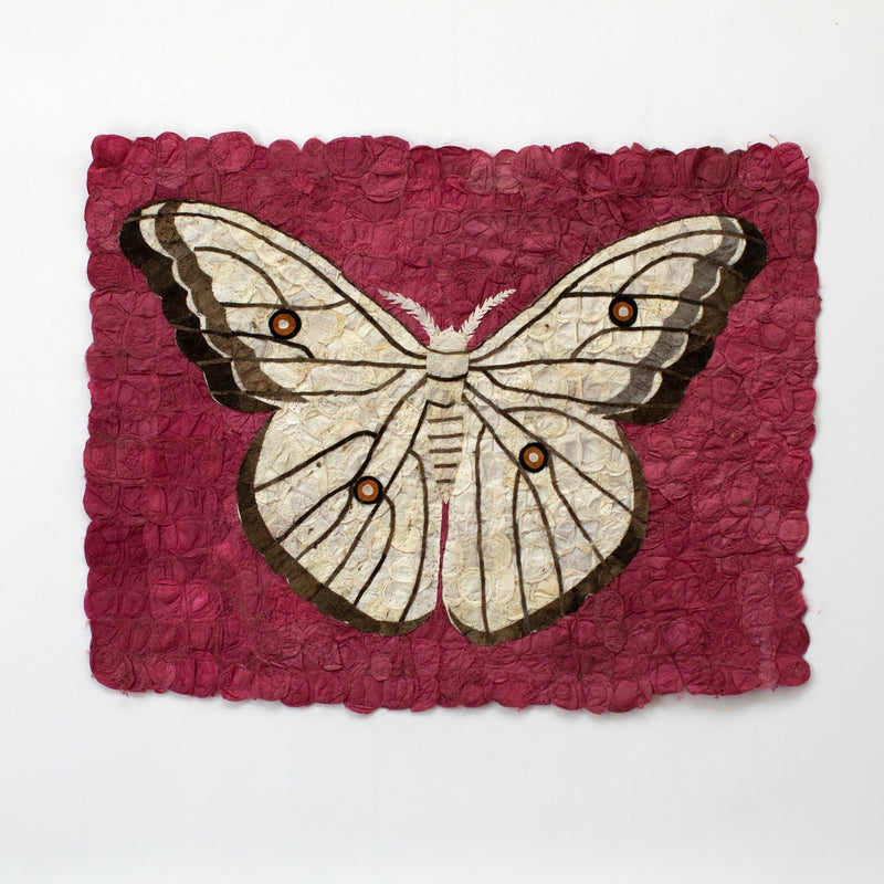 Madagascar silk moth wall art. Handmade fair trade red, cream, black, and brown rustic wall art. 12"x16".  Made from sustainably sourced sewn mulberry silk cocoons.