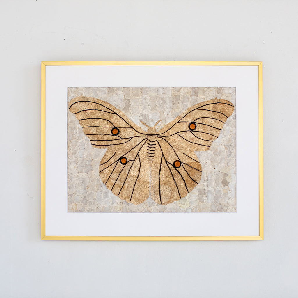 Wild Silk Moth - Natural