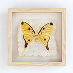 White and Yellow Ethically Sourced Handmade Madagascar Mulberry Silk Butterfly Wall Decor Wall Art Tapestry