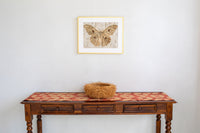 Wild Silk Moth Wall Art - Natural